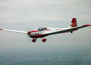 Motorsegler Scheibe SF 25 C-2000 Falke, Kennzeichen D-KDCG
